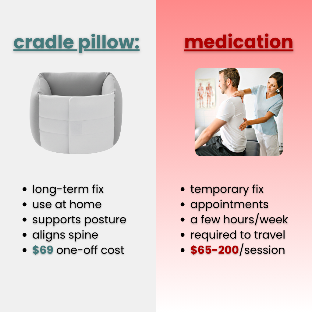 cradle - back support pillow