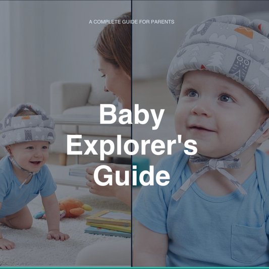 Baby Explorer's Guide
